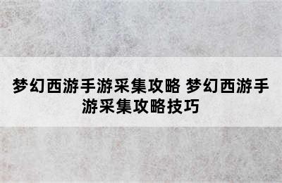 梦幻西游手游采集攻略 梦幻西游手游采集攻略技巧